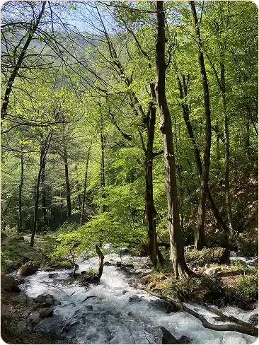 مسیر زیبای غار دیورش 1