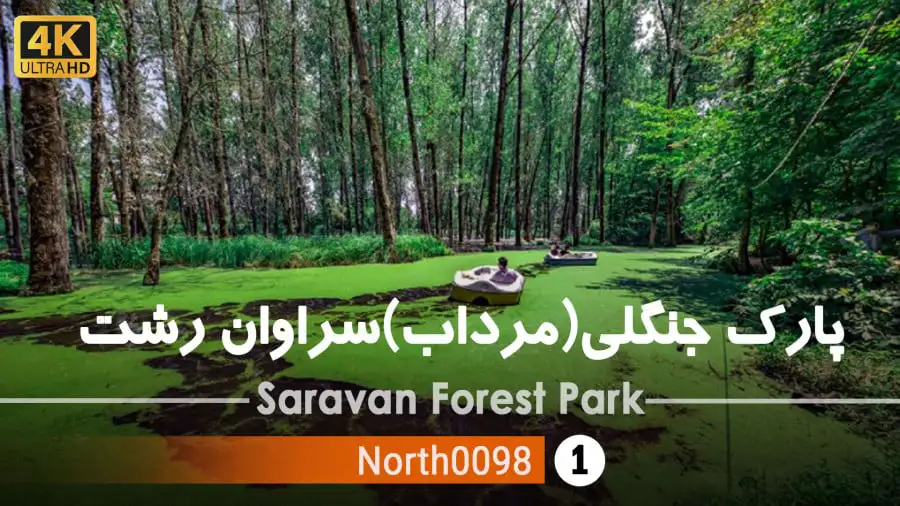 فیلم جنگل و مرداب سراوان رشت