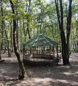 جنگل سراوان