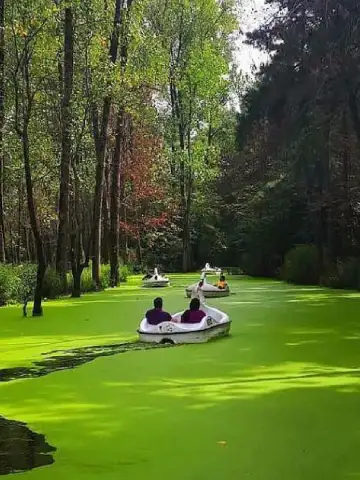 مرداب پارک جنگلی سراوان