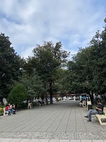 نما داخلی سبزه میدان رشت