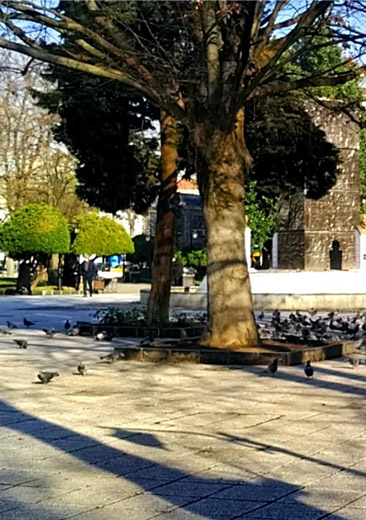 نمادی داخلی سبزه میدان