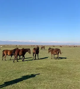 اکوتوریسم جیر سر باقر خاله