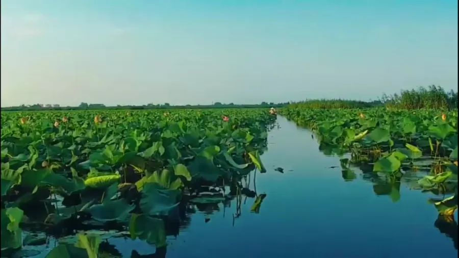 تالاب انزلی (مرداب انزلی)