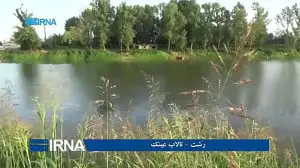 تالاب عینک رشت