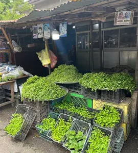 گردش در شنبه بازار بندرانزلی