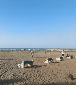 ساحل کاسپین منطقه آزاد انزلی