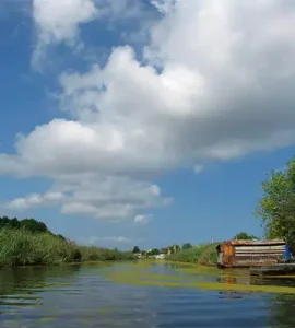 تالاب انزلی (مردابی انزلی)