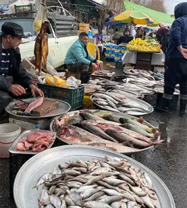 ماهی فروشان شنبه بازار انزلی