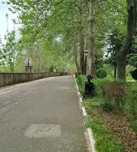 بوستان توحید رشت گلسار