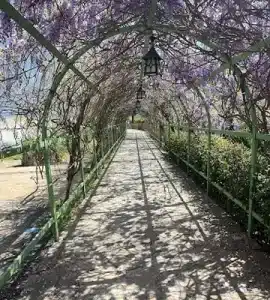 پارک توحید در رشت