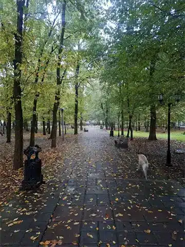 تصویر بارانی باغ محتشم