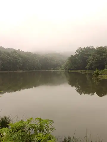 دریاچه سقالکسار در مه