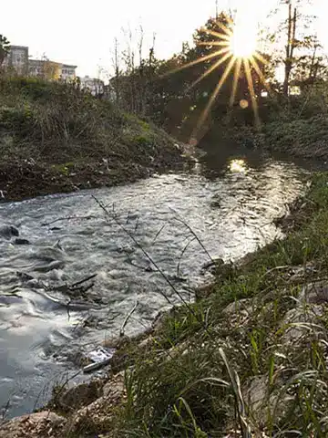 تصاویر گوهررود