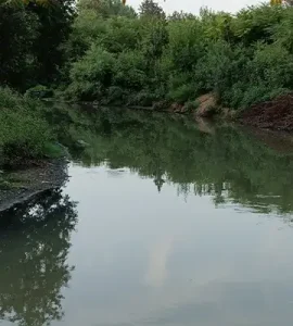 حریم رودخانه زرجوب در گیلان