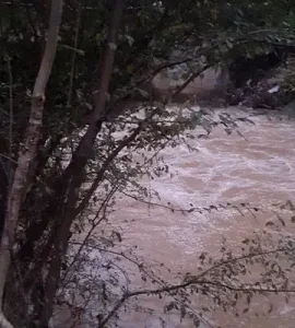 تصاویر گوهررود در رشت