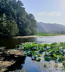 لوکیشن تالاب سوستان لاهیجان