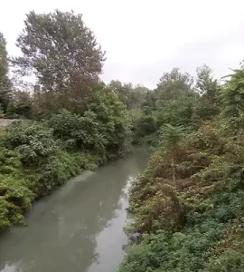 عکس گوهررود در گیلان