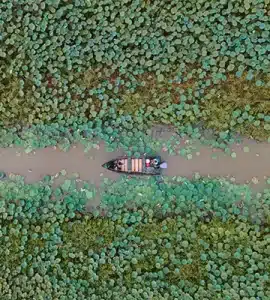 تالاب انزلی (مرداب انزلی)