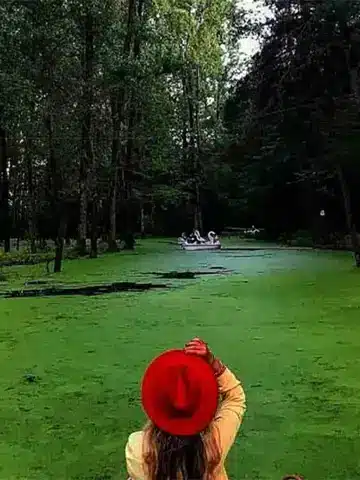 مرداب پارک جنگلی سراوان