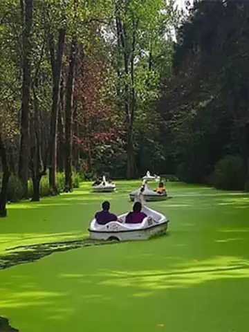 قایق سواری در مرداب سراوان