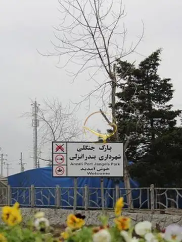 پارک جنگلی شهرداری انزلی