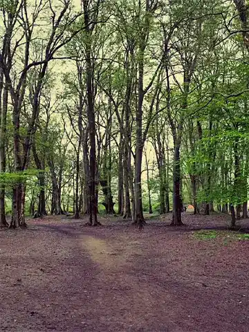 پارک جنگلی اشبلا انزلی