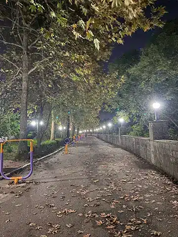 پارک توحید در شب