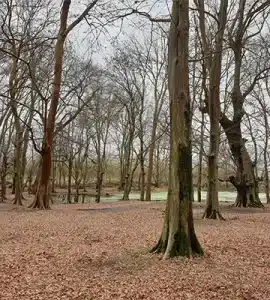 لوکیشن پارک جنگلی اشبلا