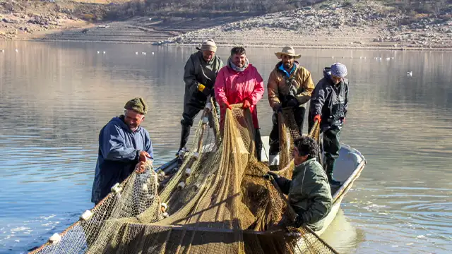 ماهیگیری در رودخانه سفیدرود