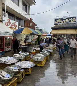 ماهی فروشان بازار رشت
