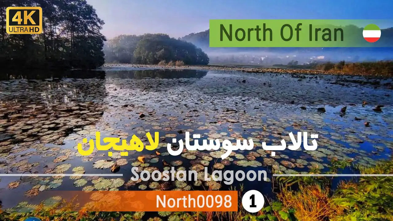 تالاب سوستان لاهیجان