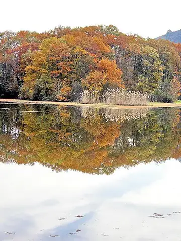 تالاب سوستان لاهیجان گیلان در پاییز