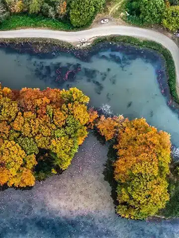 تالاب سوستان لاهیجان در پاییز