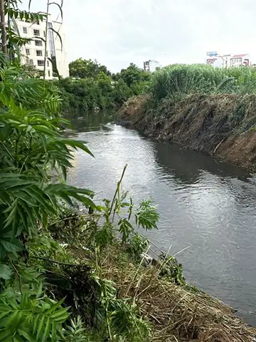 عکس رودخانه زرجوب امروز