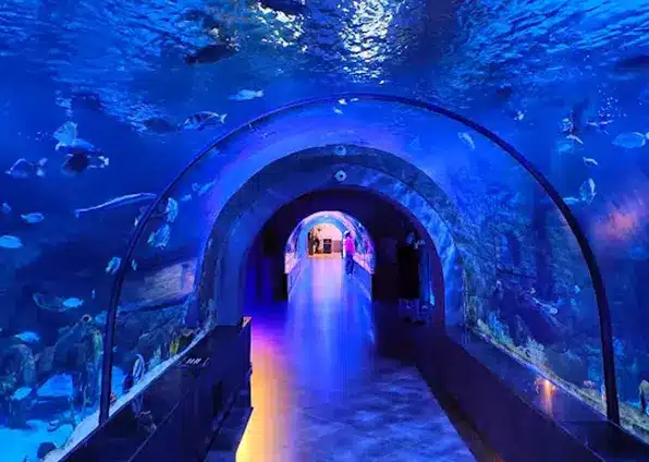 آکواریوم انزلی