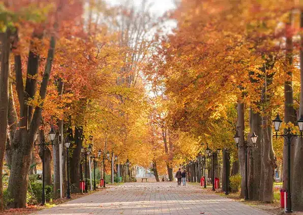 پارک شهر رشت یا پارک قدس