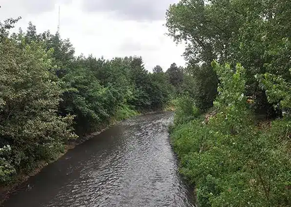 گوهر رود رشت