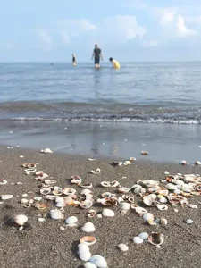 ساحل جفرود بالا