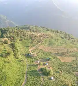 للندیز ماسوله