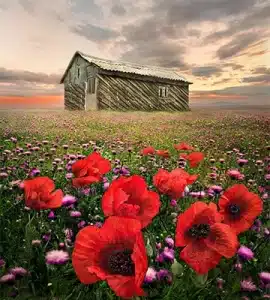 جاده سوباتان تالش