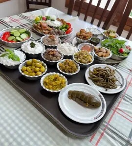 کباب بابک رشت