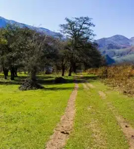 ییلاق للندیز