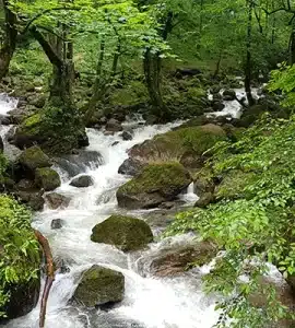 قلعه رودخان گیلان