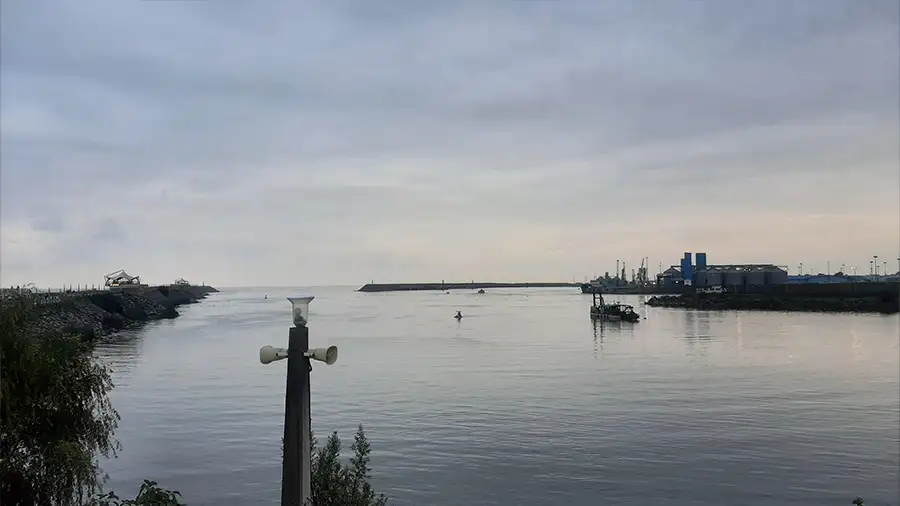 فیلم ساحل قو انزلی