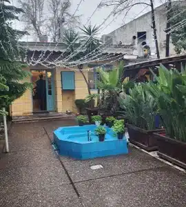 غذا محلی گیلان