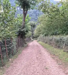 روستای میلاش رودسر