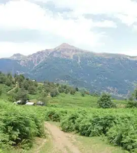 مسیر للندیز