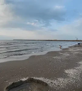 ساحل دریای حسن رود