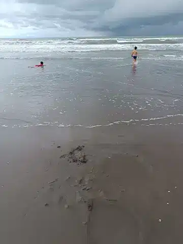 شنهای ساحل جفرود